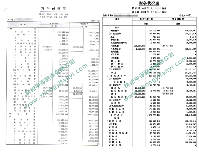 中譯杭州翻譯公司企業(yè)財(cái)務(wù)狀況報(bào)表翻譯件模板.jpg